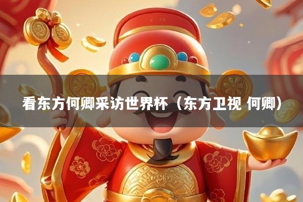 看东方何卿采访世界杯（东方卫视 何卿）