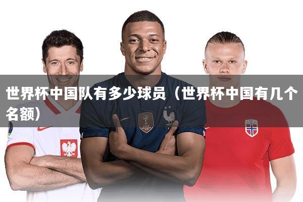 世界杯中国队有多少球员（世界杯中国有几个名额）